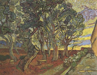 The Garden of Saint-Paul Hospital (nn04), Vincent Van Gogh